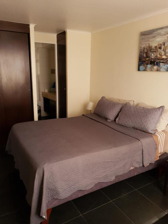 Departamentos En Santiago R&Mアパートメント エクステリア 写真